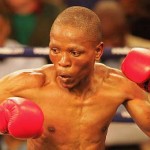 今後のスケジュールや話題