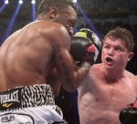 サウル・アルバレスVSオースティン・トラウト