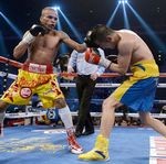 アムナット、サーマン他