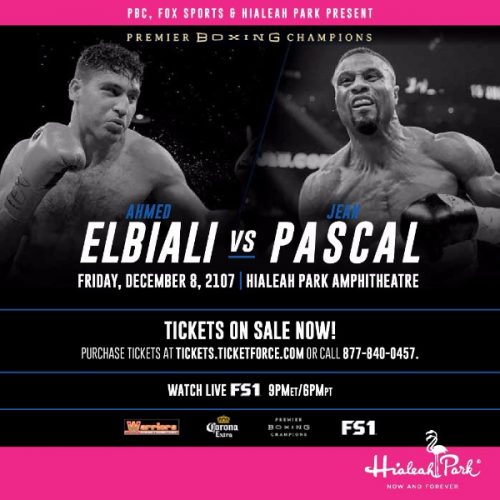 ベテランの意地と矜持/ジャン・パスカルVSアフメド・エルビアリ