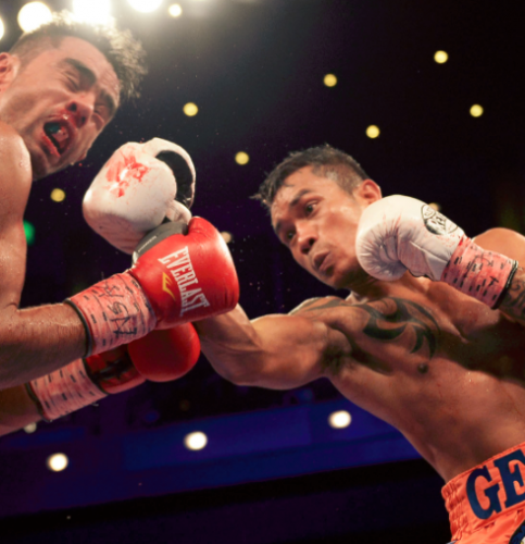 スパーリングパートナーの野心/メルシト・ゲスタ