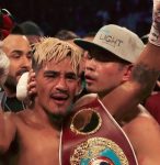 2018世界ボクシング不完全ガイド　Sバンタム級