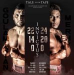 酔狂なWBAが生んだコートジボアールな日/アルセン・グラムイリアンVSリャド・メルウィー 他