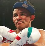 スーパーライト級プロスペクト 不完全ガイド