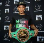 Sフェザー級の今、未来/ベルチェルトは強いのか?