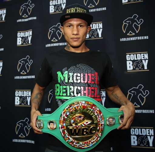 Sフェザー級の今、未来/ベルチェルトは強いのか？