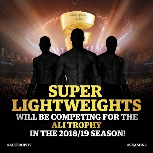 WBSSシーズン2スーパーライト級不完全ガイド