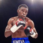 招かれざる客・完全なるルーザー/スリサニ・ンドンゲニ