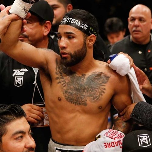 憚りながら/ルイス・ネリーの復権