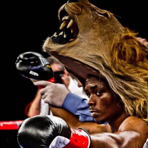 立ち飲みどころボヤキ/ああでもなけりゃこうでもないってもう正直どうでもいいんだ。