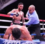 砂漠の狼のごとく/アンドリュー・カンシオ