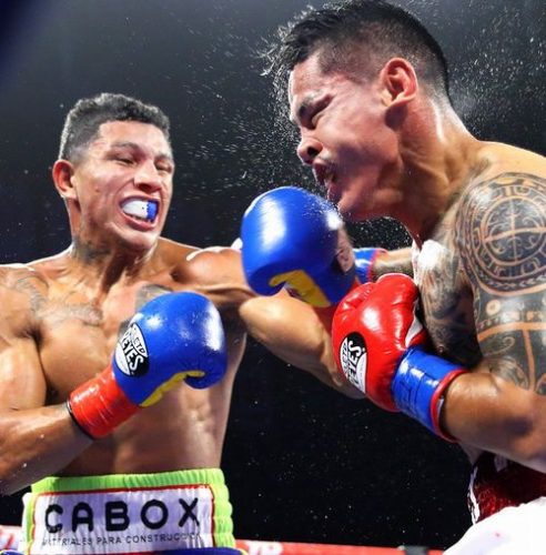 ボンタだけじゃない/ミゲル・ベルチェルトと怪物どものスーパーフェザー第2章