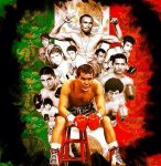 さよならぼくのメキシカン