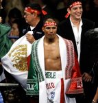 クリアカンのライオンの陰で/ホセ・ルイス・カスティージョ