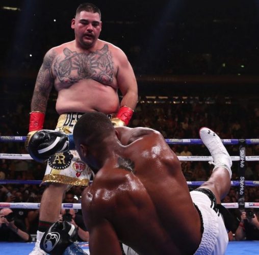 ガラスの城/アンディ・ルイスVSアンソニー・ジョシュアその他