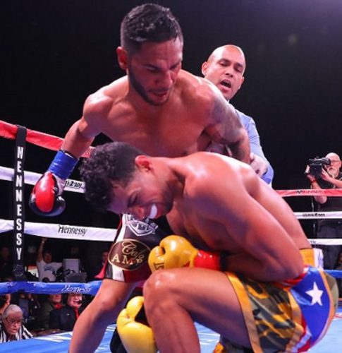 砂漠の狼が見た夢/アンドリュー・カンシオVSアルベルト・マチャド2