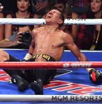 ノックアウトゾーン/Knockout Zone 7月第3週