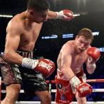 ノックアウトゾーン/Knockout Zone 7月第2週