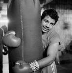 悪魔を憐れむ歌/（El Torito=小さな牛）トニー・アヤラ・ジュニア