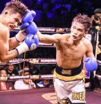 マイPSパートナー/井上尚弥、WBSS決勝に向け2次スパーリング開始