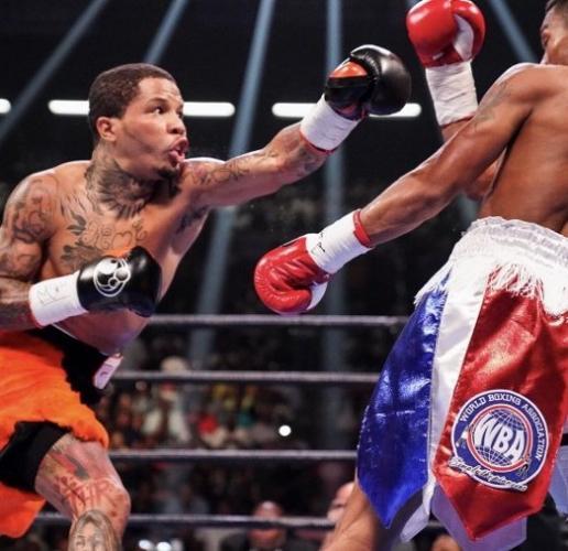 ノックアウトゾーン/Knockout Zone 7月第4週