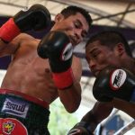 ドワーフジャイアント最後の花火/The Wolf（狼）ワンヒン・ミナヨーティン