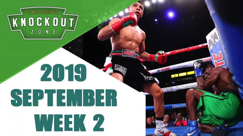 ノックアウトゾーン/Knockout Zone 9月第2週