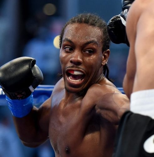 ノックアウトゾーン/Knockout Zone 11月第2週