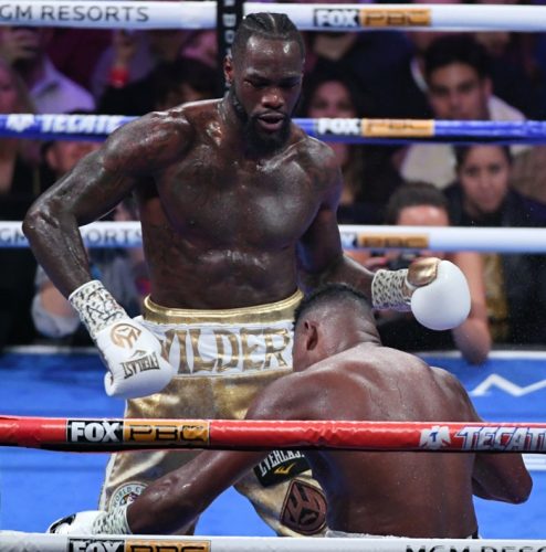 ノックアウトゾーン/Knockout Zone 11月第4週