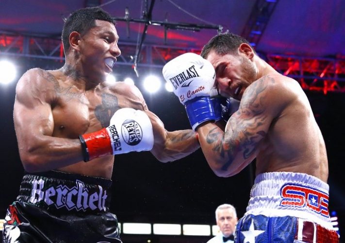 ノックアウトゾーン/Knockout Zone 11月第1週