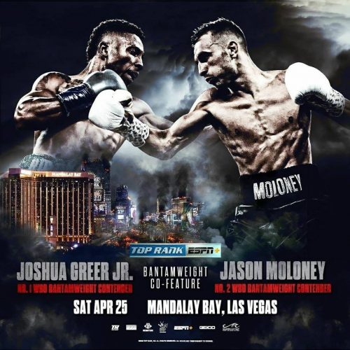 不都合な真実/いよいよ、ボクシングライブが始まる。