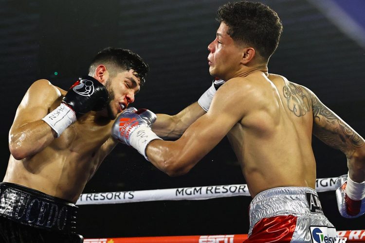 戦国のリアル/アレックス・サウセドVSソニー・フレドリクソン　雑感