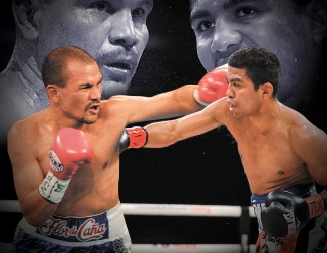 サンディニスタの猛牛/El Bufalo（バッファロー）ロセンド・アルバレス