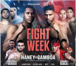 デビン・ヘイニーVSユリオルキス・ガンボア LIVE