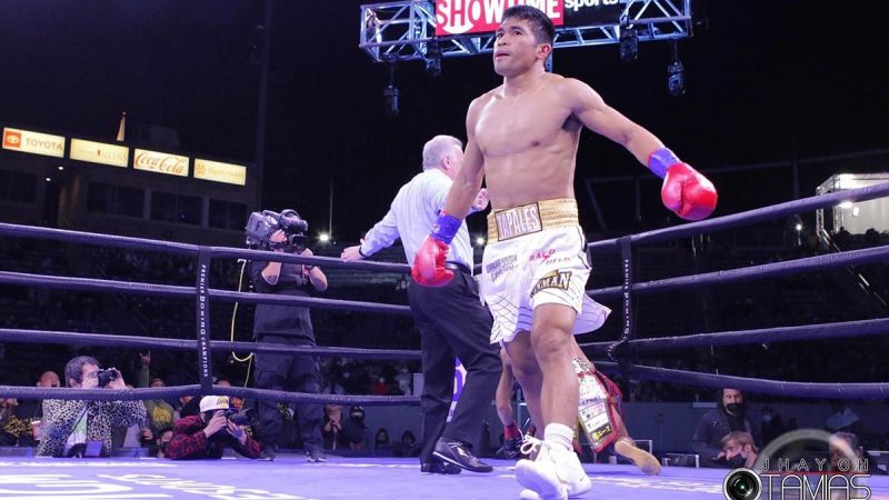 アンダードッグ/マーロン・タパレスVS勅使河原弘晶